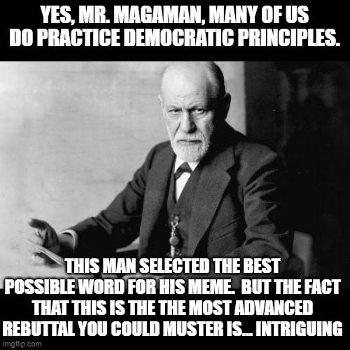 Sigmund Freud Sorry but | YES, MR. MAGAMAN, MANY OF US DO PRACTICE DEMOCRATIC PRINCIPLES. THIS MAN SELECTED THE BEST POSSIBLE WORD FOR HIS MEME.  BUT THE FACT THAT TH | image tagged in sigmund freud sorry but | made w/ Imgflip meme maker
