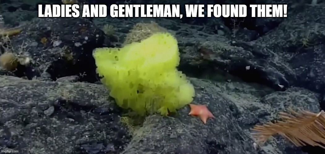 Who Lives in a Pineapple Under the Sea? | LADIES AND GENTLEMAN, WE FOUND THEM! | image tagged in spongebob | made w/ Imgflip meme maker