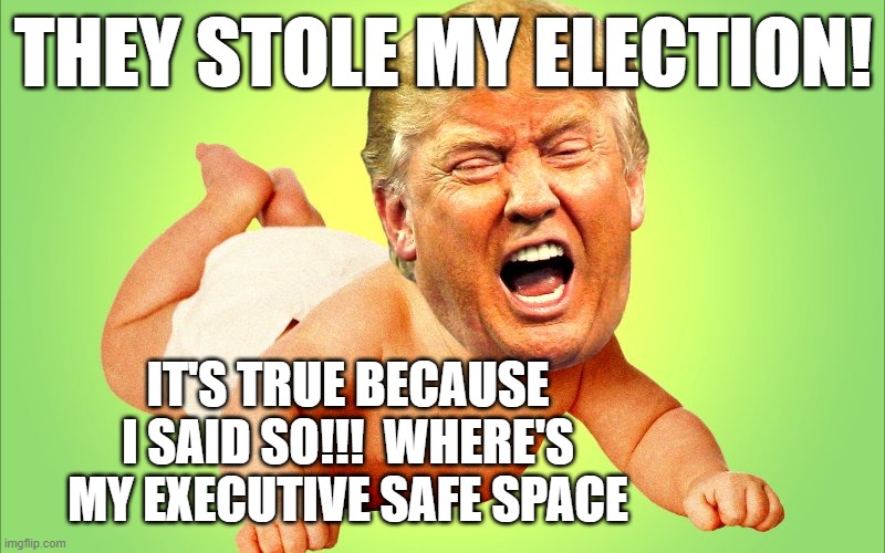 Cry baby Trump | THEY STOLE MY ELECTION! IT'S TRUE BECAUSE I SAID SO!!!  WHERE'S MY EXECUTIVE SAFE SPACE | image tagged in cry baby trump | made w/ Imgflip meme maker