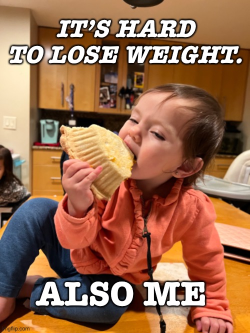 Diets and Pie | IT’S HARD TO LOSE WEIGHT. ALSO ME | image tagged in dieting | made w/ Imgflip meme maker
