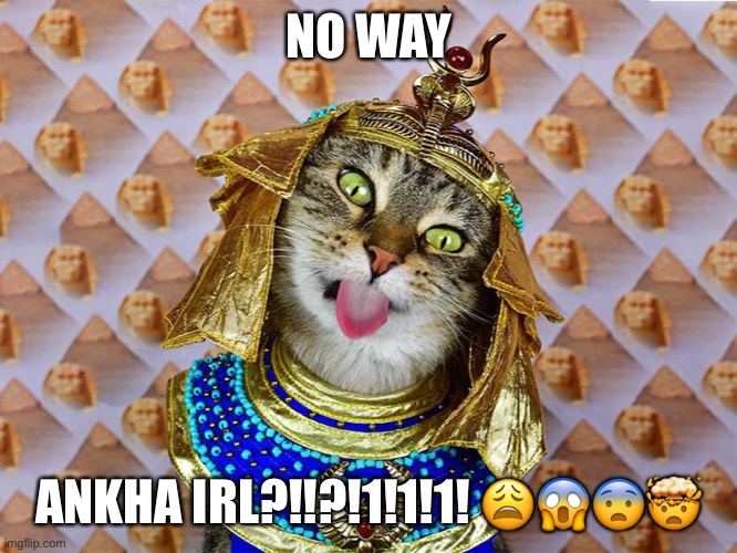 For legal reasons, this is a joke | NO WAY; ANKHA IRL?!!?!1!1!1! 😩😱😨🤯 | made w/ Imgflip meme maker