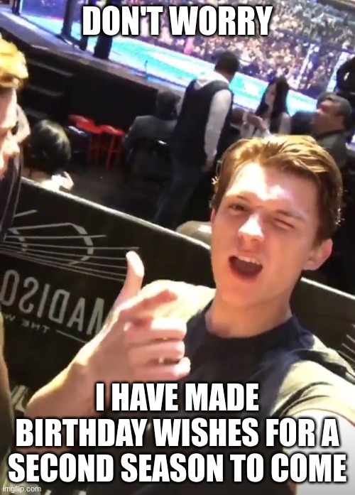 I got you (Tom Holland) | DON'T WORRY I HAVE MADE BIRTHDAY WISHES FOR A SECOND SEASON TO COME | image tagged in i got you tom holland | made w/ Imgflip meme maker