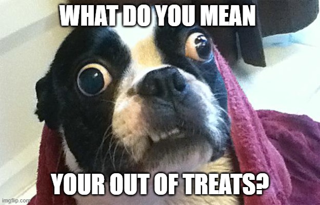not to happy dog |  WHAT DO YOU MEAN; YOUR OUT OF TREATS? | image tagged in confused dog | made w/ Imgflip meme maker