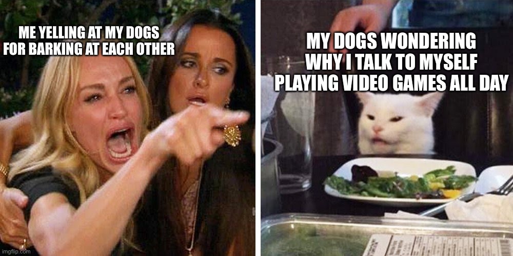 Smudge the cat | ME YELLING AT MY DOGS FOR BARKING AT EACH OTHER; MY DOGS WONDERING WHY I TALK TO MYSELF PLAYING VIDEO GAMES ALL DAY | image tagged in smudge the cat | made w/ Imgflip meme maker