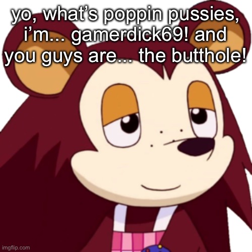 gamerdick69 | yo, what’s poppin pussies, i’m... gamerdick69! and you guys are... the butthole! | made w/ Imgflip meme maker