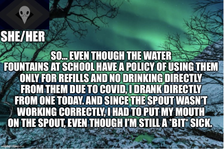 Northern Lights Termcollector Template | SO… EVEN THOUGH THE WATER FOUNTAINS AT SCHOOL HAVE A POLICY OF USING THEM ONLY FOR REFILLS AND NO DRINKING DIRECTLY FROM THEM DUE TO COVID, I DRANK DIRECTLY FROM ONE TODAY. AND SINCE THE SPOUT WASN’T WORKING CORRECTLY, I HAD TO PUT MY MOUTH ON THE SPOUT, EVEN THOUGH I’M STILL A *BIT* SICK. | image tagged in northern lights termcollector template | made w/ Imgflip meme maker
