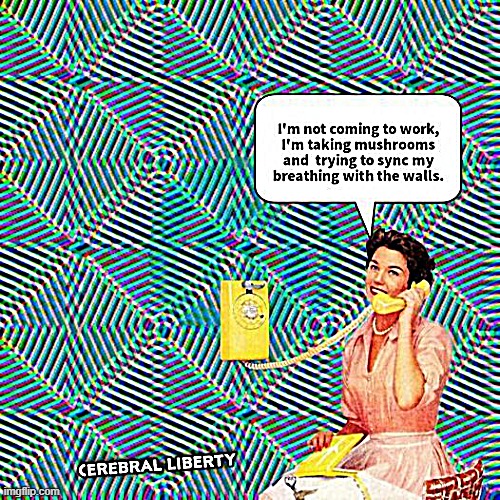 . | made w/ Imgflip meme maker