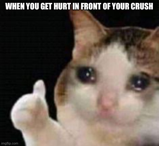 Approved crying cat | WHEN YOU GET HURT IN FRONT OF YOUR CRUSH | image tagged in approved crying cat | made w/ Imgflip meme maker