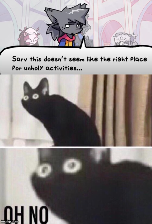 .. | image tagged in oh no cat | made w/ Imgflip meme maker