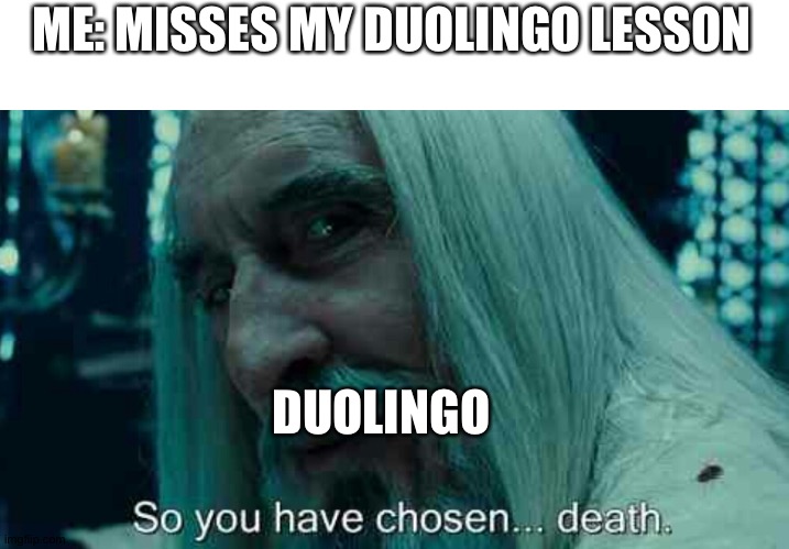 Mmm | ME: MISSES MY DUOLINGO LESSON; DUOLINGO | image tagged in so you have chosen death | made w/ Imgflip meme maker