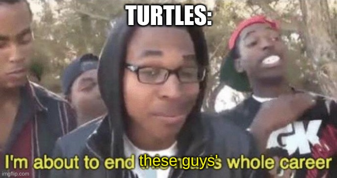 I’m about to end this man’s whole career | TURTLES: these guys' | image tagged in i m about to end this man s whole career | made w/ Imgflip meme maker