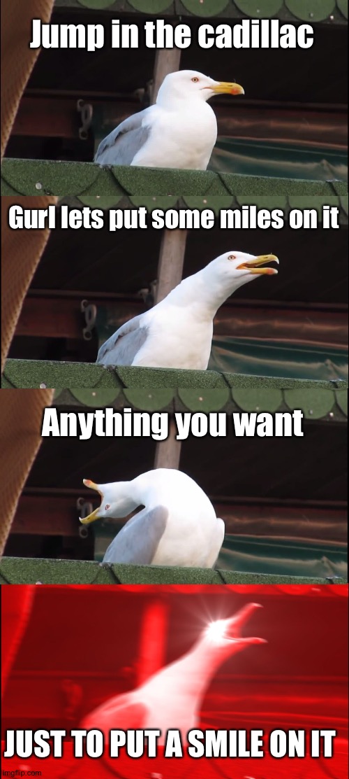 Jump in da cadillac | Jump in the cadillac; Gurl lets put some miles on it; Anything you want; JUST TO PUT A SMILE ON IT | image tagged in memes,inhaling seagull | made w/ Imgflip meme maker