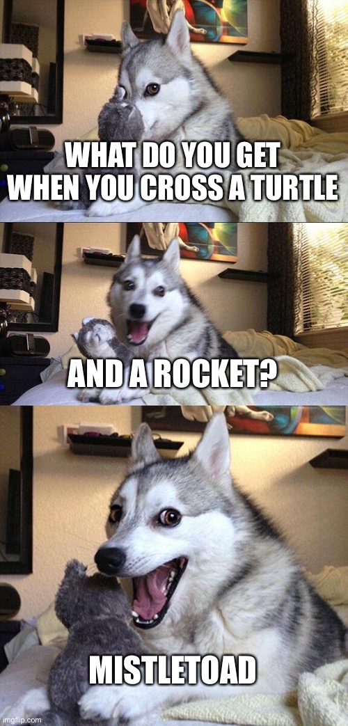 Bad Pun Dog | WHAT DO YOU GET WHEN YOU CROSS A TURTLE; AND A ROCKET? MISTLETOAD | image tagged in memes,bad pun dog | made w/ Imgflip meme maker