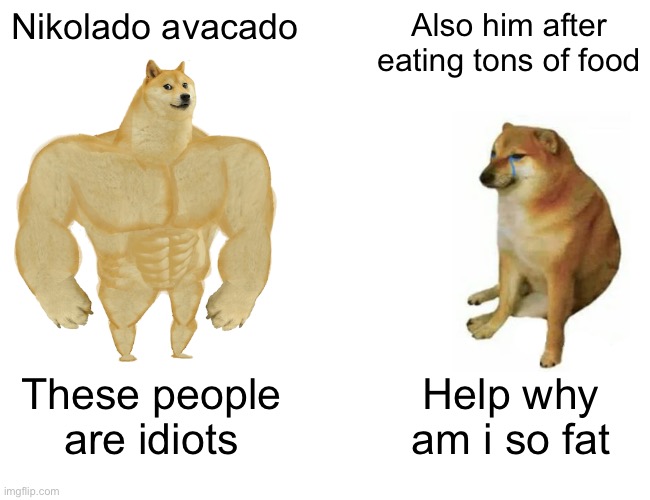 Buff Doge vs. Cheems Meme | Nikolado avacado; Also him after eating tons of food; These people are idiots; Help why am i so fat | image tagged in memes,buff doge vs cheems | made w/ Imgflip meme maker
