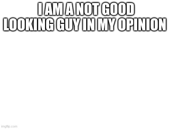 Blank White Template | I AM A NOT GOOD LOOKING GUY IN MY OPINION | image tagged in blank white template | made w/ Imgflip meme maker