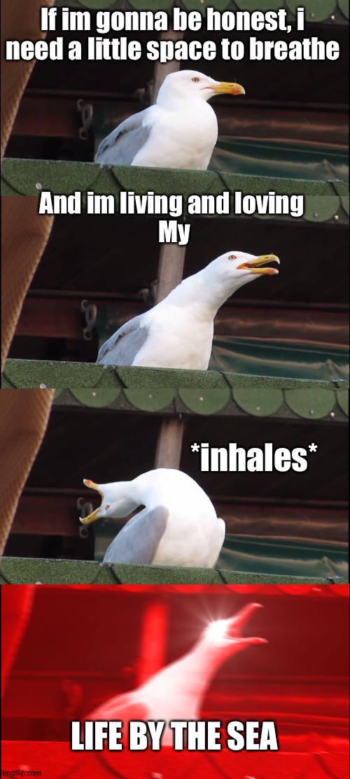 LIFE BY DA SEA | If im gonna be honest, i need a little space to breathe; And im living and loving 
My; *inhales*; LIFE BY THE SEA | image tagged in memes,inhaling seagull | made w/ Imgflip meme maker