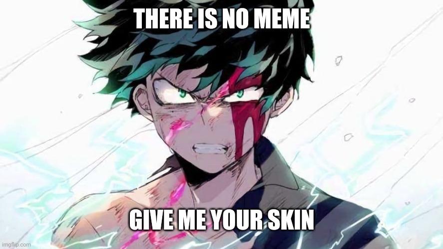 Deku beaten up | THERE IS NO MEME; GIVE ME YOUR SKIN | image tagged in deku beaten up | made w/ Imgflip meme maker