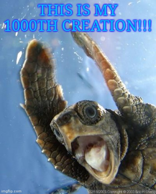 Happy Turtle | THIS IS MY 1000TH CREATION!!! | image tagged in happy turtle | made w/ Imgflip meme maker
