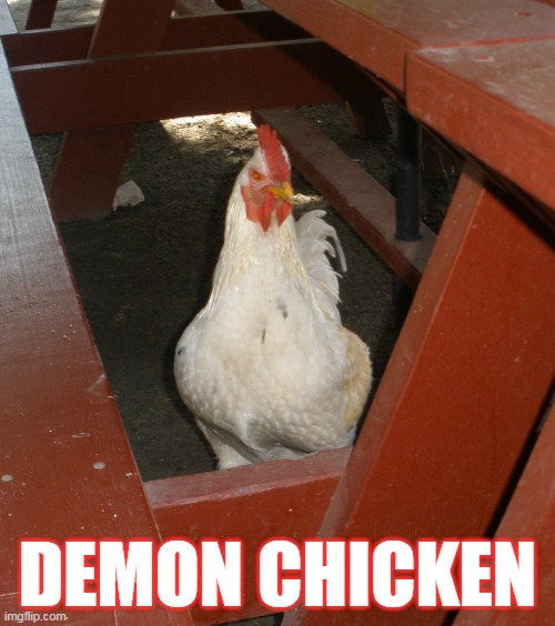 Demon Chicken | DEMON CHICKEN | image tagged in demon chicken | made w/ Imgflip meme maker