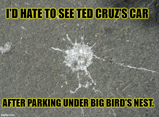 Birdshit Brain | I'D HATE TO SEE TED CRUZ'S CAR; AFTER PARKING UNDER BIG BIRD'S NEST. | image tagged in ted cruz,birdshit,big bird,vaccinations,moron | made w/ Imgflip meme maker