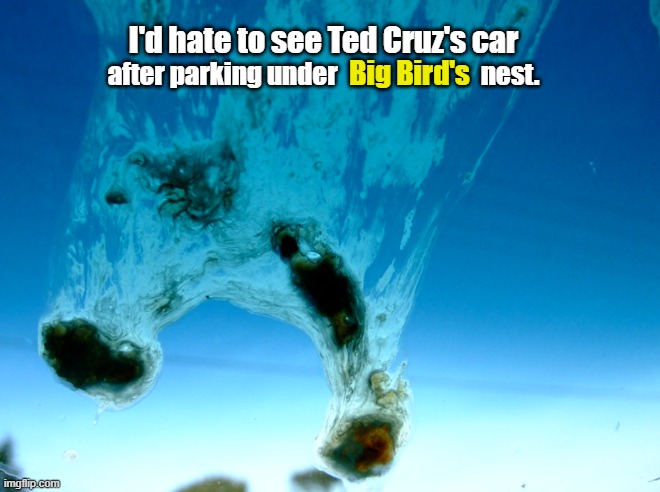 Big Bird gets revenge. | I'd hate to see Ted Cruz's car; Big Bird's; after parking under                            nest. | image tagged in ted cruz,big bird,sesame street,vaccination,clown car republicans | made w/ Imgflip meme maker