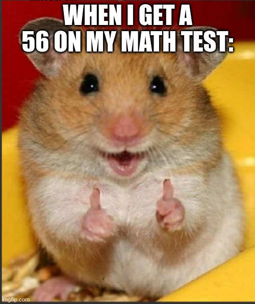 hide the pain hamster | WHEN I GET A 56 ON MY MATH TEST: | image tagged in hide the pain hamster | made w/ Imgflip meme maker