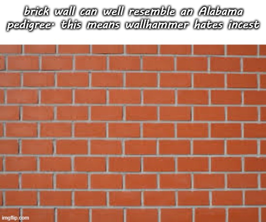 i wonder if he hates incest or not | brick wall can well resemble an Alabama pedigree. this means wallhammer hates incest | image tagged in brick wall,incest,alabama,wall | made w/ Imgflip meme maker