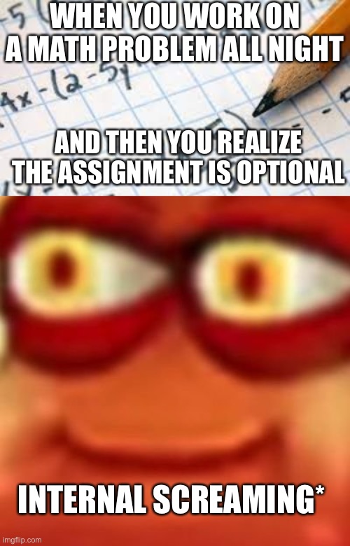 WHEN YOU WORK ON A MATH PROBLEM ALL NIGHT; AND THEN YOU REALIZE THE ASSIGNMENT IS OPTIONAL; INTERNAL SCREAMING* | made w/ Imgflip meme maker