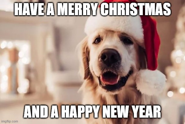 its the holiday time of year again | HAVE A MERRY CHRISTMAS; AND A HAPPY NEW YEAR | image tagged in wholsome,christmas,doggo | made w/ Imgflip meme maker