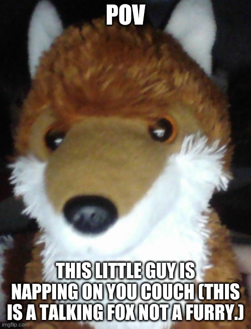 POV; THIS LITTLE GUY IS NAPPING ON YOU COUCH (THIS IS A TALKING FOX NOT A FURRY.) | made w/ Imgflip meme maker