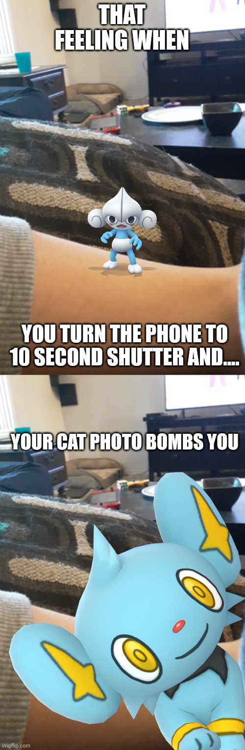 LOL | THAT FEELING WHEN; YOU TURN THE PHONE TO 10 SECOND SHUTTER AND.... YOUR CAT PHOTO BOMBS YOU | image tagged in pokemon go | made w/ Imgflip meme maker