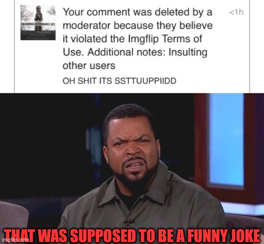 The mods have no sense of humor | THAT WAS SUPPOSED TO BE A FUNNY JOKE | image tagged in memes,funny,gifs,not really a gif,oh wow are you actually reading these tags,really ice cube | made w/ Imgflip meme maker