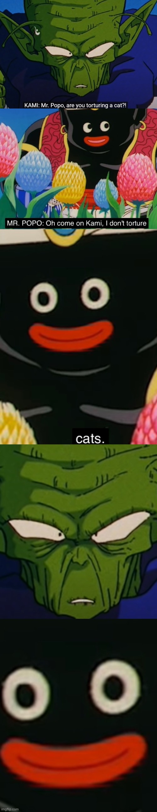 cat torture? no | image tagged in cat torture no | made w/ Imgflip meme maker