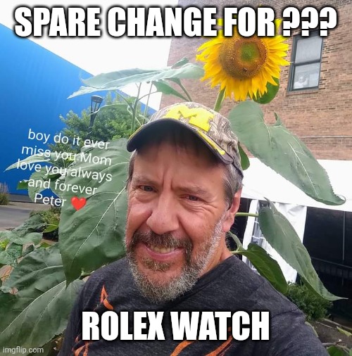 Spare Change For? |  SPARE CHANGE FOR ??? ROLEX WATCH | image tagged in peter plant,begging | made w/ Imgflip meme maker