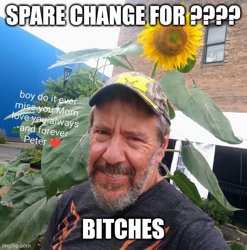 Spare Change For? | SPARE CHANGE FOR ???? BITCHES | image tagged in peter plant,bitch,begging for upvotes | made w/ Imgflip meme maker