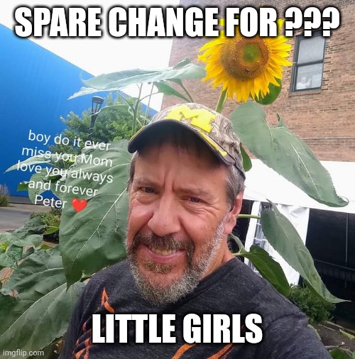 Spare Change For? |  SPARE CHANGE FOR ??? LITTLE GIRLS | image tagged in peter plant,little girl,begging | made w/ Imgflip meme maker