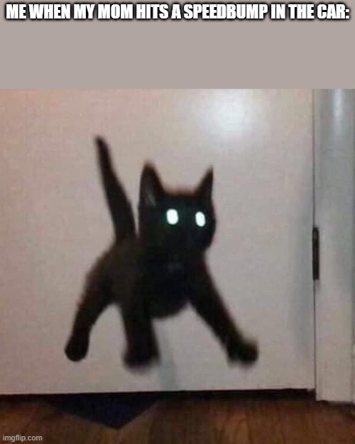 No wait mom slow down- AAAA | ME WHEN MY MOM HITS A SPEEDBUMP IN THE CAR: | image tagged in startled black kitten | made w/ Imgflip meme maker