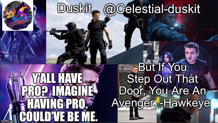 Duskit’s hawkeye temp | Y’ALL HAVE PRO?  IMAGINE HAVING PRO.  COULD’VE BE ME. | image tagged in duskit s hawkeye temp | made w/ Imgflip meme maker