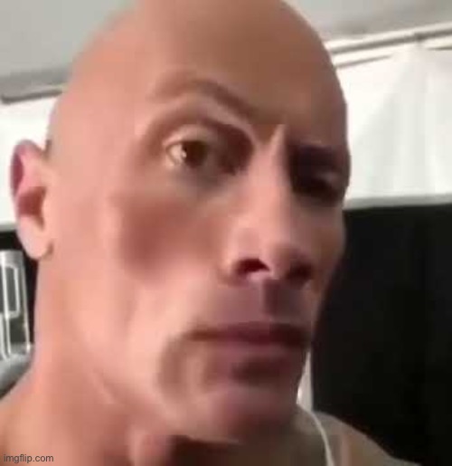 The Rock Eyebrow Raise Face Meme - The Rock Eyebrow Raise Face Meme -  Magnet