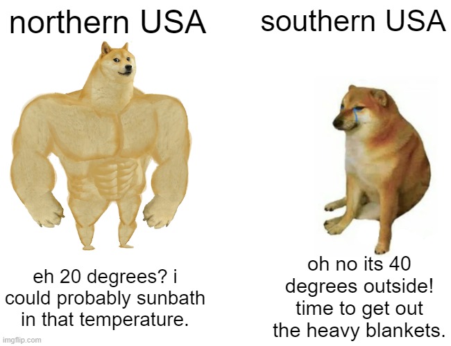 northern vs southern. who would last longer in the cold? | northern USA; southern USA; oh no its 40 degrees outside! time to get out the heavy blankets. eh 20 degrees? i could probably sunbath in that temperature. | image tagged in memes,buff doge vs cheems | made w/ Imgflip meme maker