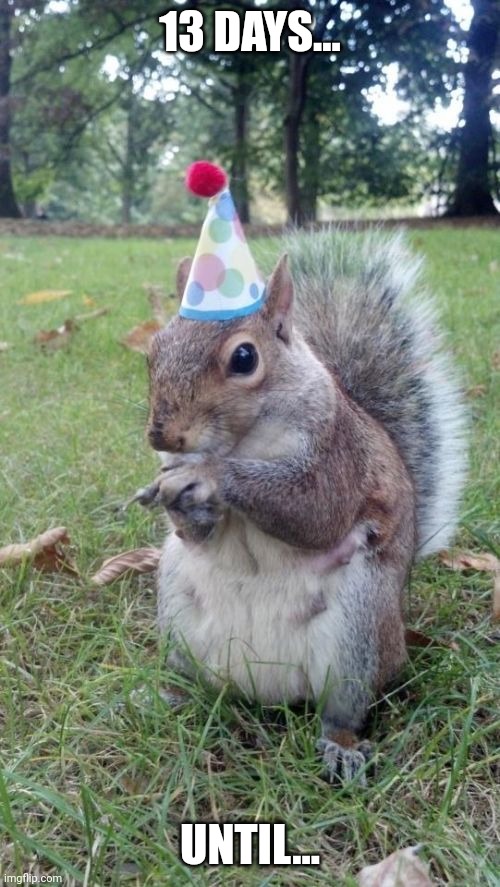 Super Birthday Squirrel Meme | 13 DAYS... UNTIL... | image tagged in memes,super birthday squirrel | made w/ Imgflip meme maker