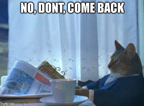 Cat newspaper | NO, DONT, COME BACK | image tagged in cat newspaper | made w/ Imgflip meme maker