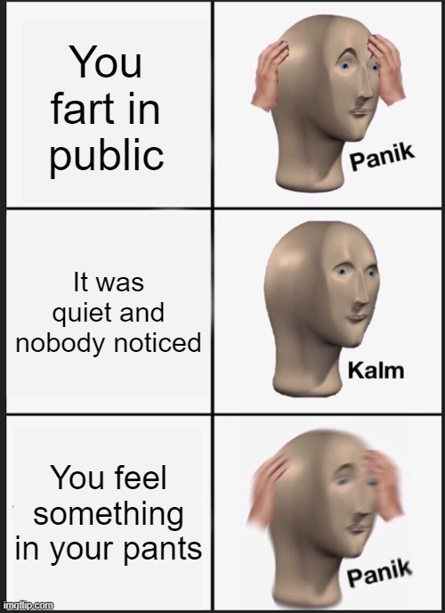 My First Meme | You fart in public; It was quiet and nobody noticed; You feel something in your pants | image tagged in memes,panik kalm panik | made w/ Imgflip meme maker