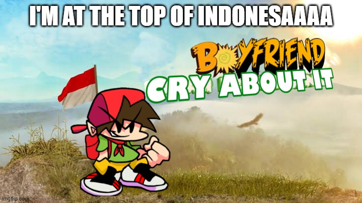 I'M AT THE TOP OF INDONESAAAA | image tagged in boyfriend cry about it | made w/ Imgflip meme maker