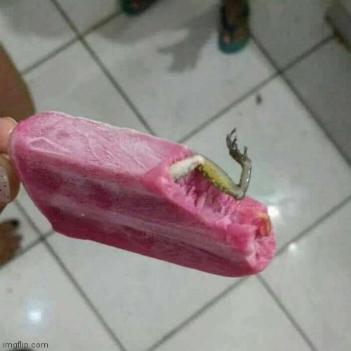 Frog leg in cream bar | image tagged in frog leg in cream bar | made w/ Imgflip meme maker