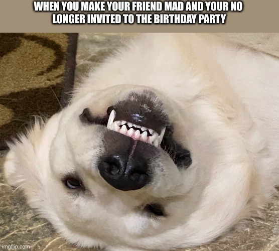 angry doggo | WHEN YOU MAKE YOUR FRIEND MAD AND YOUR NO 
LONGER INVITED TO THE BIRTHDAY PARTY | image tagged in angry doggo | made w/ Imgflip meme maker