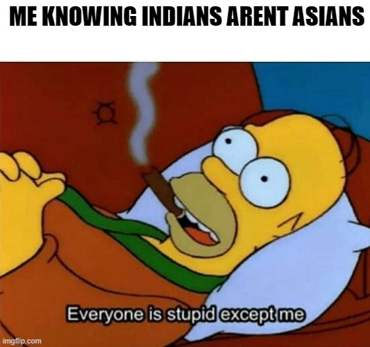 Apparently, they are | ME KNOWING INDIANS ARENT ASIANS | image tagged in everyone is stupid except me | made w/ Imgflip meme maker