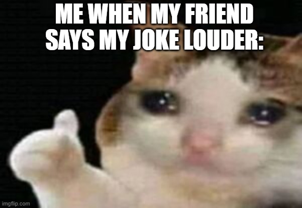 crying cat thumbs up | ME WHEN MY FRIEND SAYS MY JOKE LOUDER: | image tagged in crying cat thumbs up | made w/ Imgflip meme maker