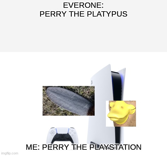 Perry The Platypus? | EVERONE:
PERRY THE PLATYPUS; ME: PERRY THE PLAYSTATION | image tagged in funny,omg,lol,lol so funny,haha yes,haha | made w/ Imgflip meme maker
