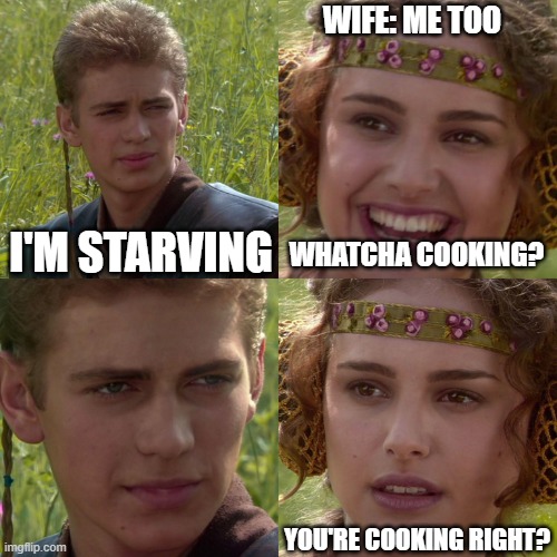 My life in a nutshell | WIFE: ME TOO; I'M STARVING; WHATCHA COOKING? YOU'RE COOKING RIGHT? | image tagged in anakin padme 4 panel | made w/ Imgflip meme maker